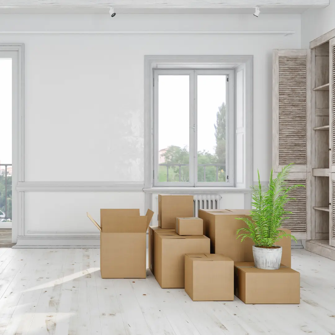 Moving boxes in an organized room